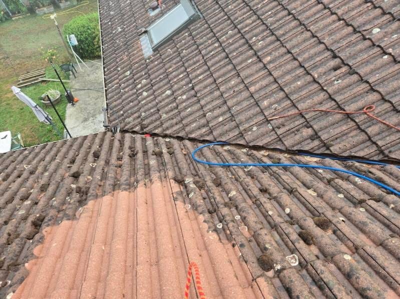 Rinçage Complet des Tuiles après Démoussage en Isère